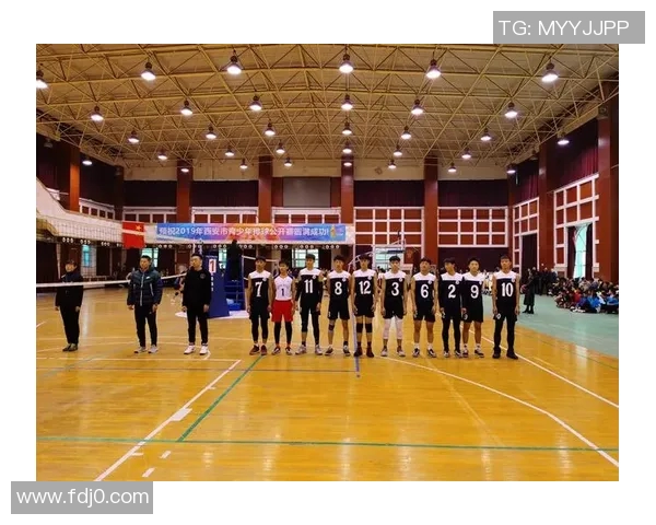 西安排球队的控制策略分析与排球热点解读